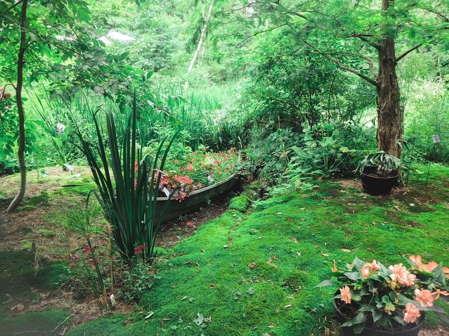 Landscaping & Auto Irrigation